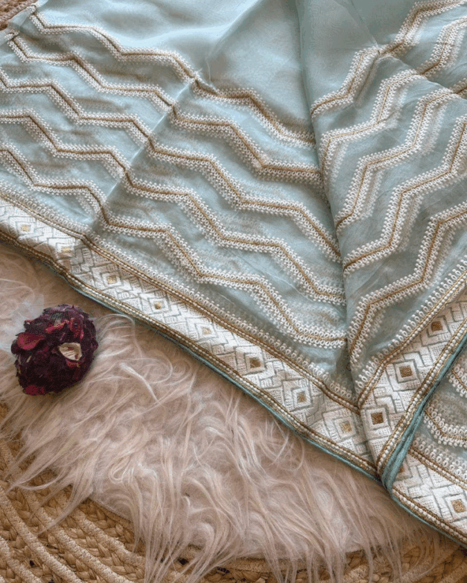 Organza Saree